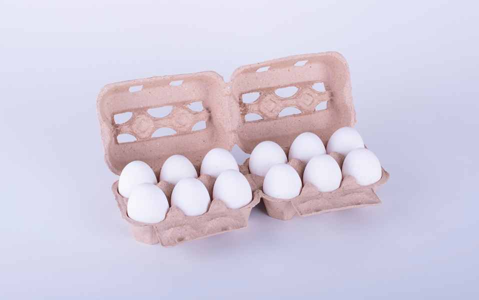 Estuches para huevos