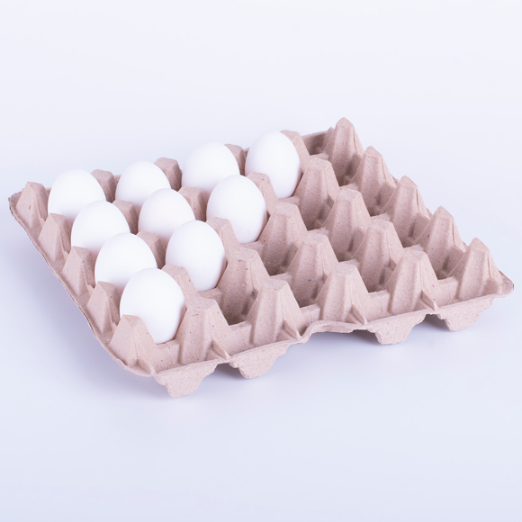 Maple 25 LBS - Maple para huevos