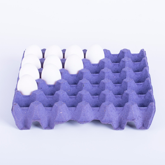 Maple Eggs Tec Unic - Maple para huevos