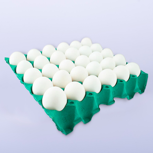 Maple 25 LBS - Maple para huevos